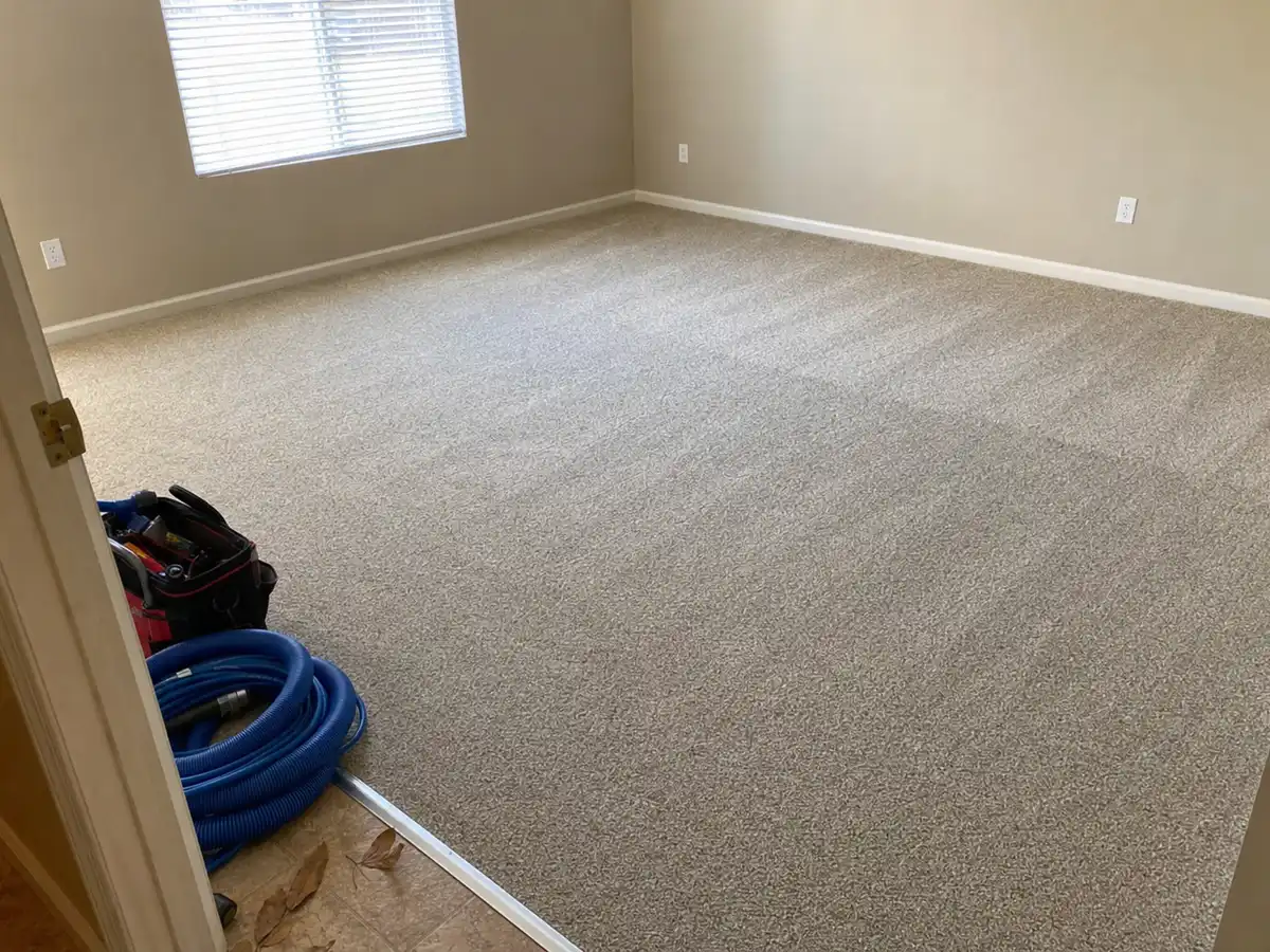 Freshly cleaned carpet with the furniture back in place — completed job in Pacific Palisades, CA